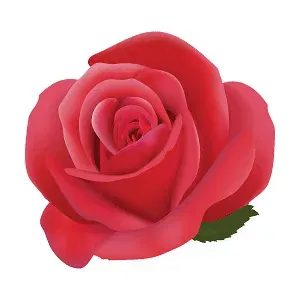 Pita Pizza Roosdaal Roosdaal